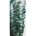 EUCALYPTUS PRESERVED POLISHED Green-OUT OF STOCK